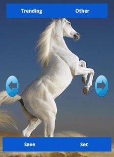 Horse Wallpapers Screenshots 0