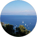 Image Google de Emily Andreani