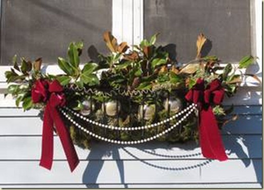 holiday window boxes - container gardening