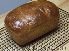 sprouted-kamut-bread 044