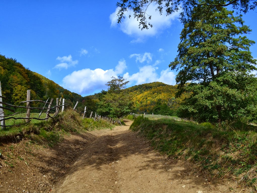 [DSC_00174.jpg]