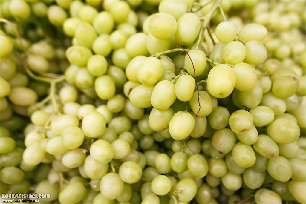 Серия рассказов о городах Израиля «Точки над i» - Рамле 