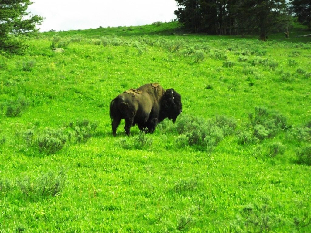 [DSCF9114%2520-%2520Kopie%255B1%255D.jpg]