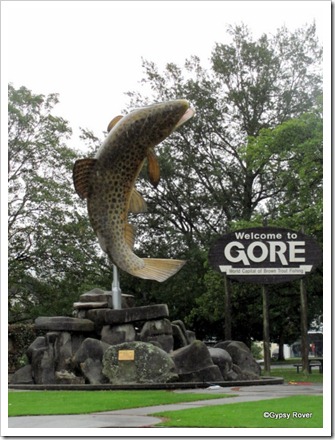 Gore, World Capital of Brown Trout.