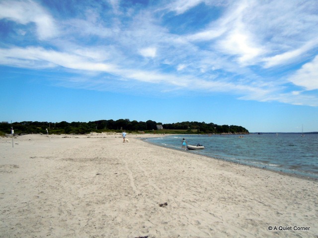 [Sand%2520as%2520Fine%2520as%2520Sugar%255B3%255D.jpg]