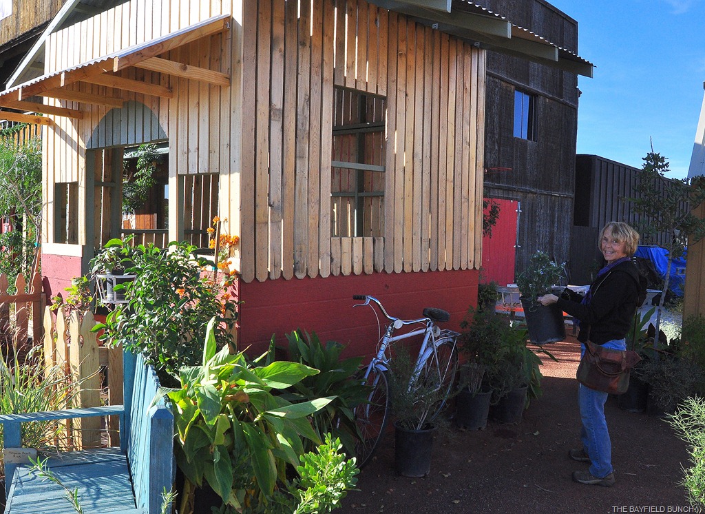 [DSC_0019%255B5%255D.jpg]