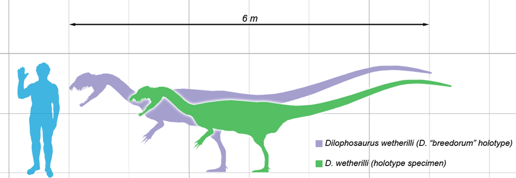 [1200px-Dilophosaurus_scale%255B5%255D.png]