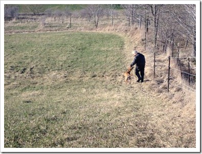 20120402_dogs_003
