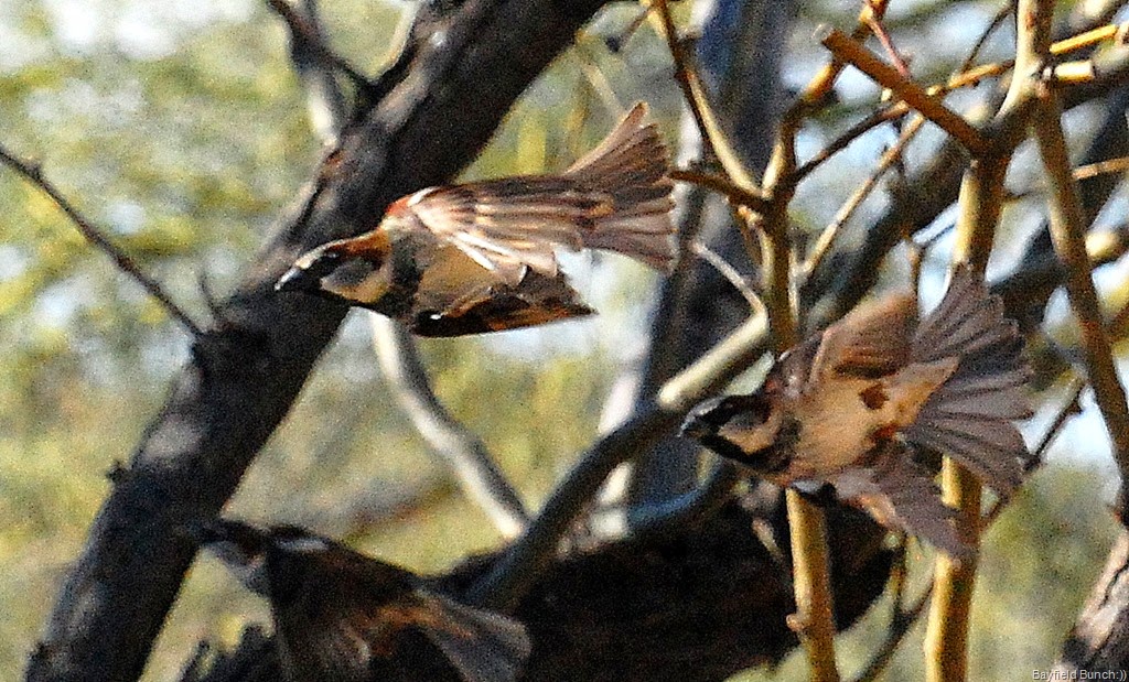 [DSC_2764%255B8%255D.jpg]