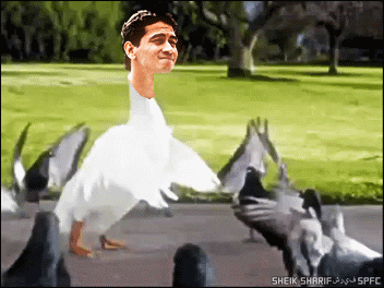 Ganso%2520Sheik%25202.gif