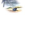 pi_bateau_trebeurden.jpg