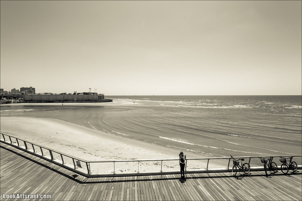 Все интересное с улиц Тель Авива. LookAtIsrael.com - Фото путешествия по Израилю