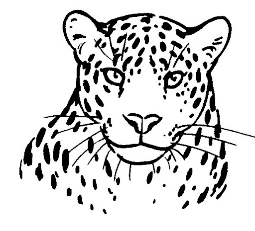 DIBUJOS DE LEOPARDOS PARA COLOREAR