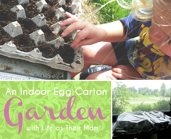 indoor egg carton garden - life as their mom