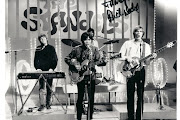 The Standells
