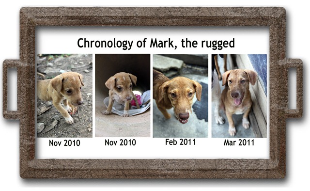 [Mark%255B5%255D.jpg]
