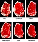 skala marbling daging