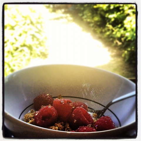 #148 - raspberries and Oat Crunch in the garden