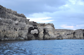 DSC_0856.jpg