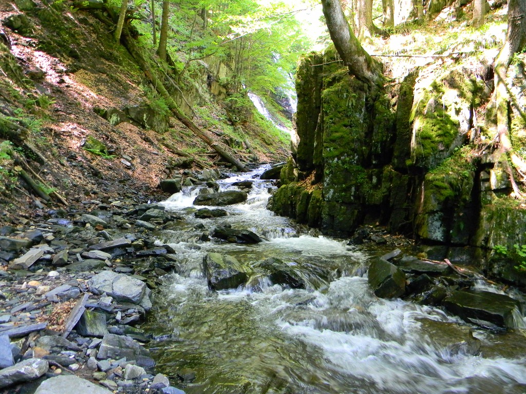 [DSCN13503.jpg]