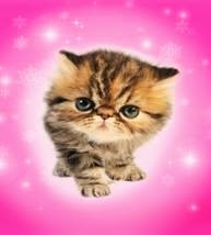 [clip_image002%255B3%255D.jpg]