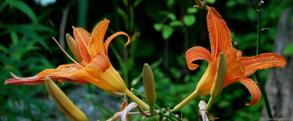 [DSC_0002-5%255B3%255D.jpg]