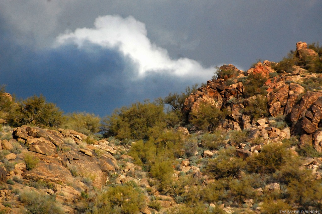 [DSC_8581%255B4%255D.jpg]