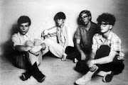 The Feelies