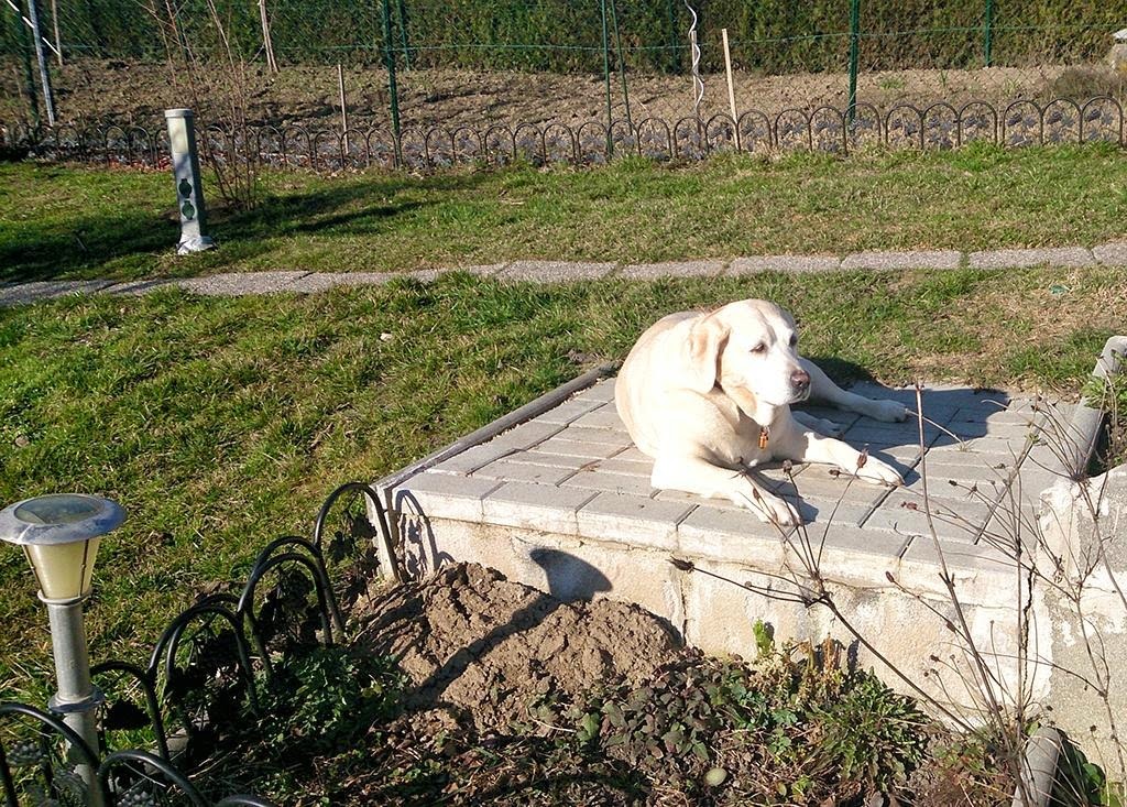 [DSC_1460_re%255B2%255D.jpg]