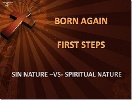 Sin Nature v. Spiritual Nature