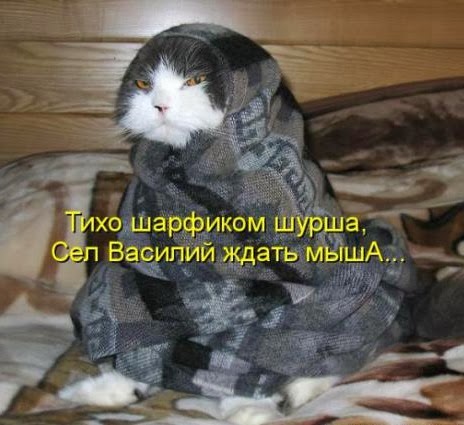 [3114a07b6b8f4e4c1972a4c5c06_prev%255B3%255D.jpg]