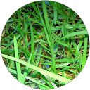 Montse Gar profile picture