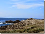 IMG_1948 IMG_1948