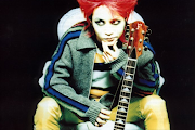 Hide