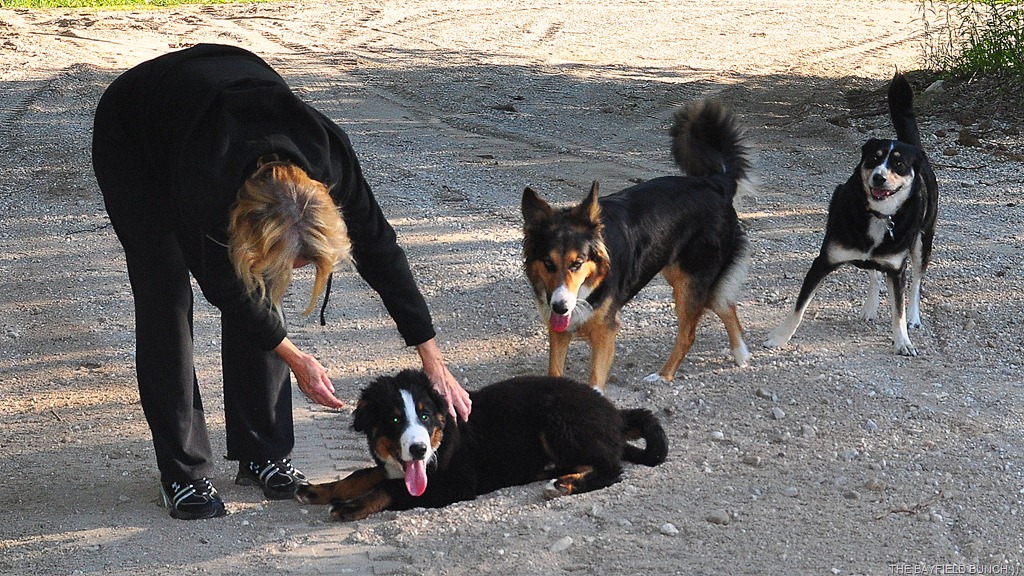 [DSC_0015-001%255B3%255D.jpg]