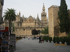 IMG_2211 IMG_2211