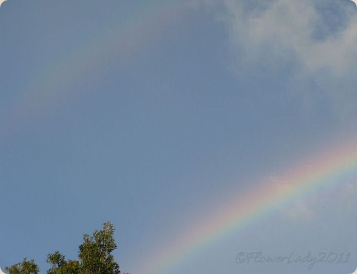 09-28-rainbow7