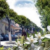 Distillation d’eau de fleur d’oranger, Une tradition bien conservée chez les Blidéens