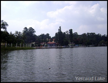 Yercaud Lake