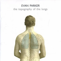 The Topography of the Lungs