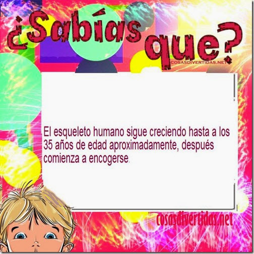 curiosidades cosasdivertidas net 6 curiosidades cosasdivertidas net 6