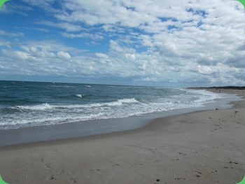 Sebastian Inlet 014