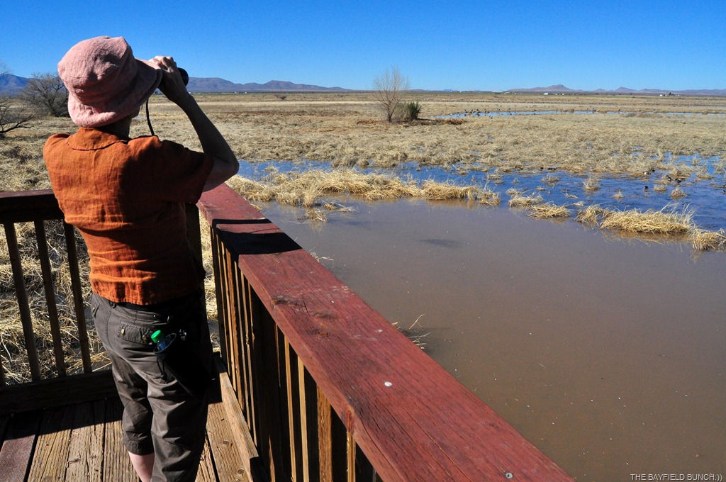 [DSC_0003%255B4%255D.jpg]