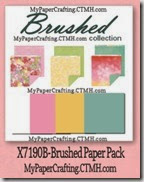 brushed paper-200