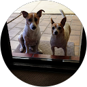 Betty Thompson profile picture