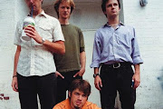 Dismemberment Plan