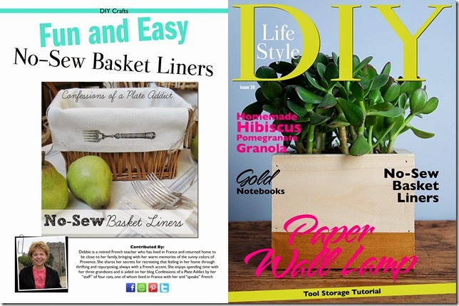 CONFESSIONS OF A PLATE ADDICT in DIY Lifestyle Magazine