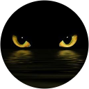 Miss Meow