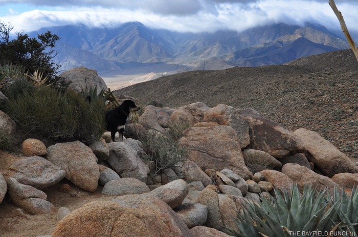 [DSC_0114%255B4%255D.jpg]