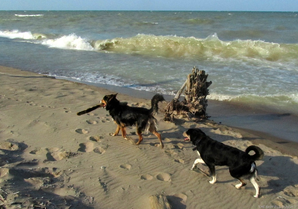 [IMG_0812%255B4%255D.jpg]